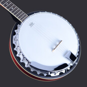 Five String Banjo