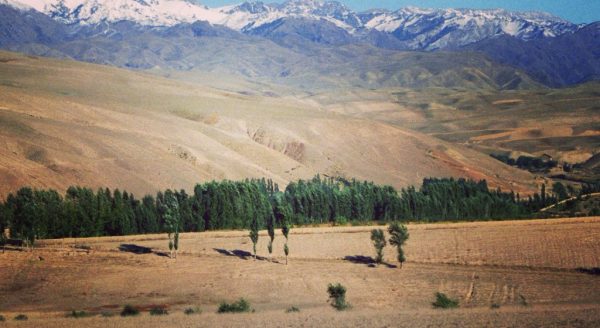 Xinjiang Ili Valley 1
